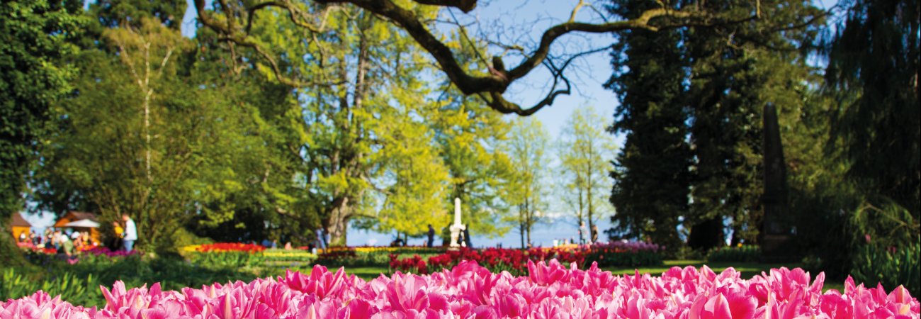 Tulpenfest in Morges &copy; Michal Ludwiczak - stock.adobe.com