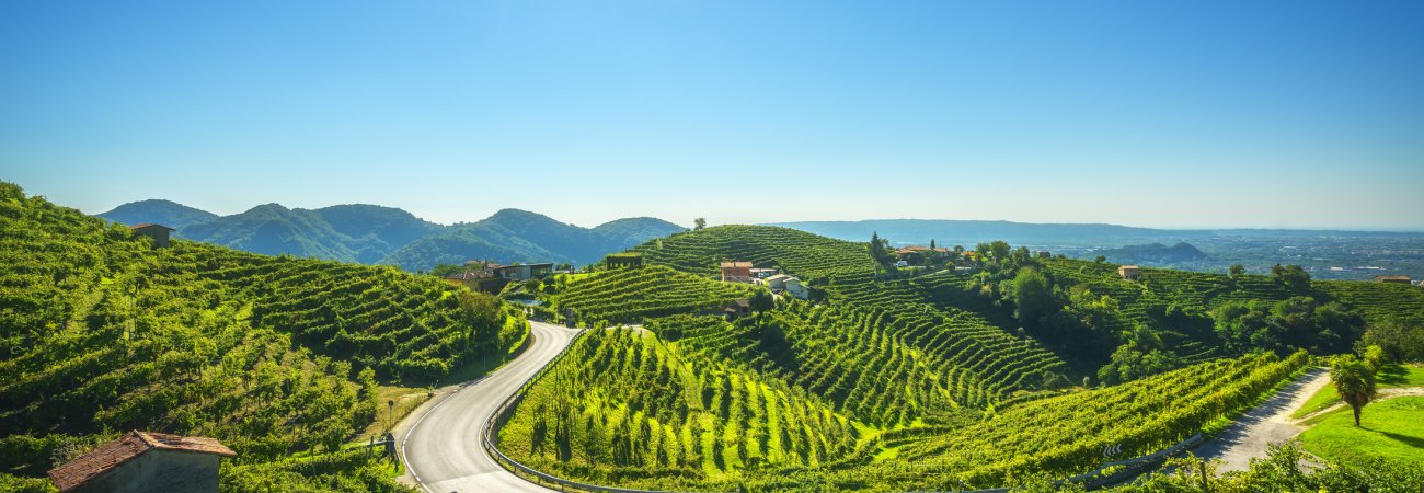 Weinberge in Valdobbiadene © stevanzz - stock.adobe.com