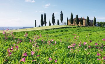 Toskanische Landschaft © LianeM - Fotolia.com