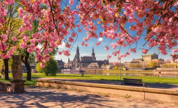 Dresden im Frühling © Objective Eye -fotolia.com