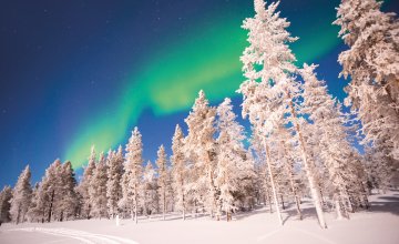 Nordlichter - Aurora Borealis in Lappland © Delphotostock-fotolia.com