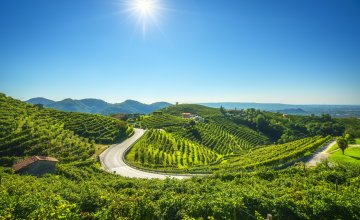 Weinberge in Valdobbiadene © stevanzz - stock.adobe.com