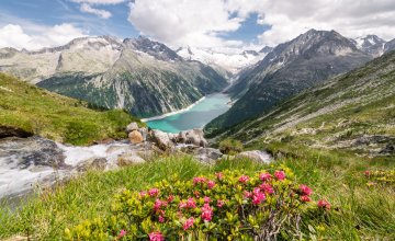 Zillertaler Alpen © Österreich Werbung/Michael Stabentheiner