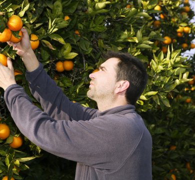 &copy; lunamarina - stock.adobe.com