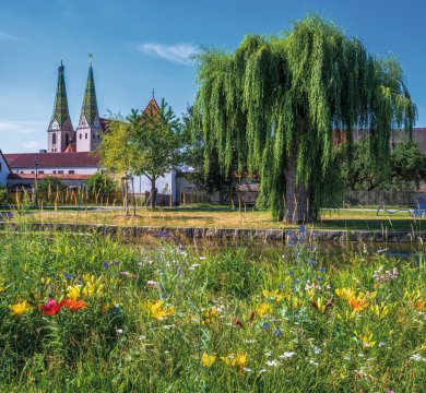 &copy; manfredxy - stock.adobe.com