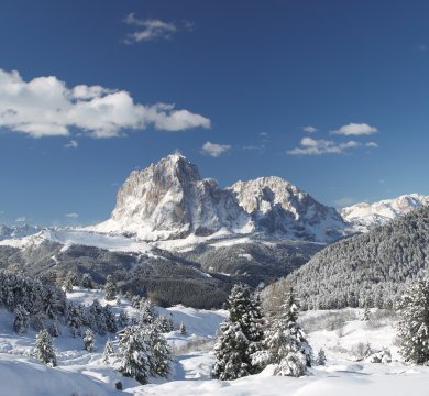 &copy; photostefan - fotolia.com