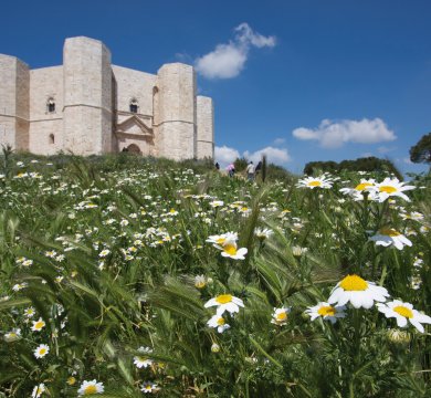 &copy; D. Pagano-fotolia.com