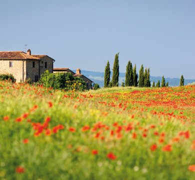 &copy; Grischa Georgiew - fotolia.com