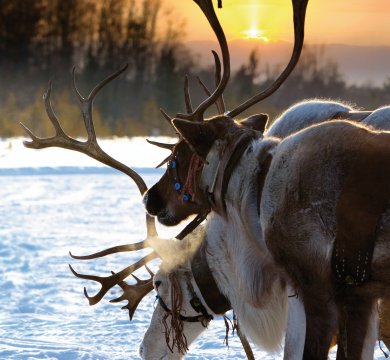 &copy; Vladimir Melnikov - Fotolia.com