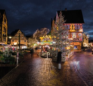 &copy; Chlorophylle-fotolia.com