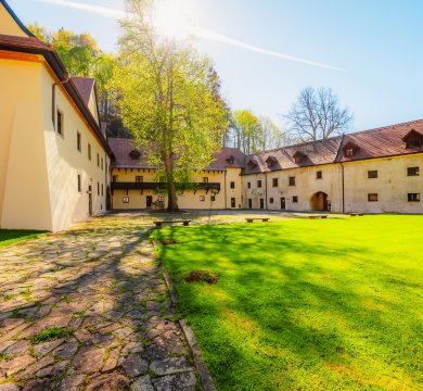 &copy; Zedspider - stock.adobe.com