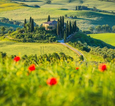 &copy; ecstk22 - stock.adobe.com