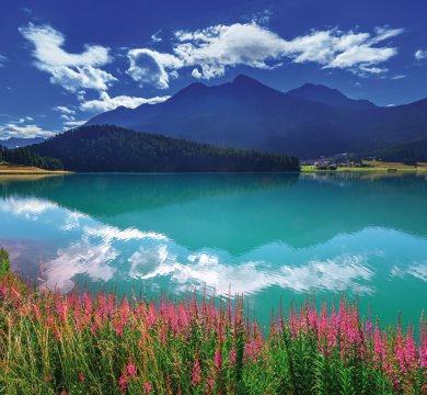 &copy; ivan kmit-fotolia.com