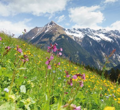 &copy; by paul-fotolia.com