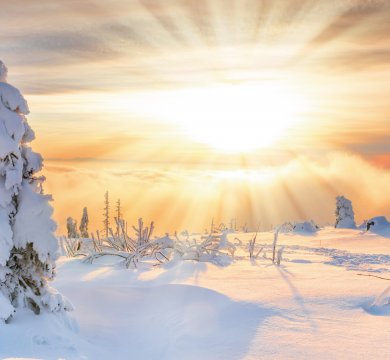 &copy; coldwaterman-fotolia.com