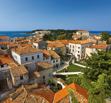 &copy; WitR-fotolia.com