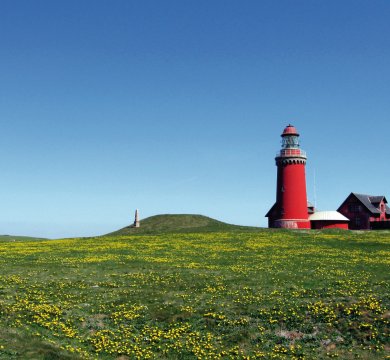 &copy; Tim HvW-fotolia.com