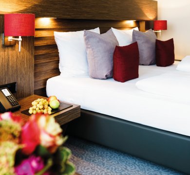 &copy; Park Plaza Trier