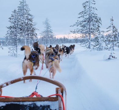 &copy; Nejron Photo - stock.adobe.com