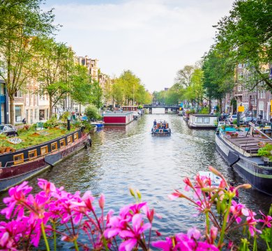 &copy; CPN - stock.adobe.com