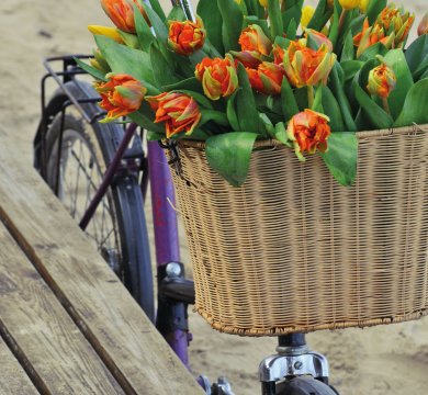 &copy; Natalija Sirokova-stock.adobe.com