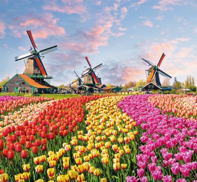 &copy; Olena Z - stock.adobe.com