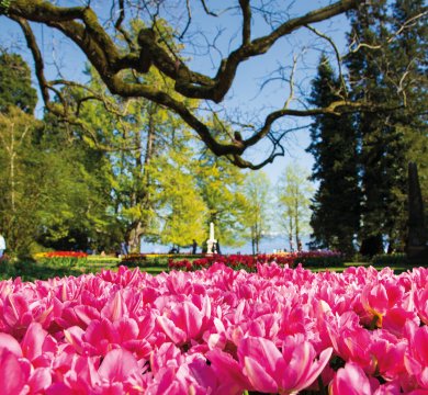 &copy; Michal Ludwiczak - stock.adobe.com