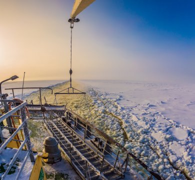 &copy; Kushnirov Avraham - stock.adobe.com