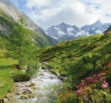 &copy; by paul - stock.adobe.com