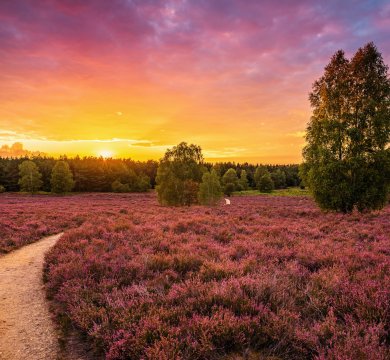 &copy; RuZi - stock.adobe.com