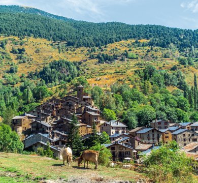 &copy; Manel Vinuesa - stock.adobe.com