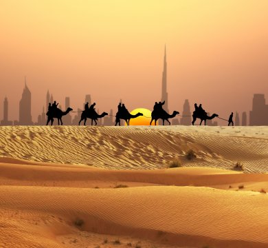 &copy; adrian_ilie825 - stock.adobe.com