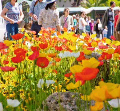 &copy; Jürgen Fälchle - stock.adobe.com