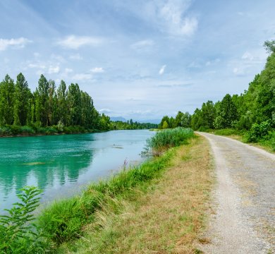 &copy; Ditlevsen - stock.adobe.com