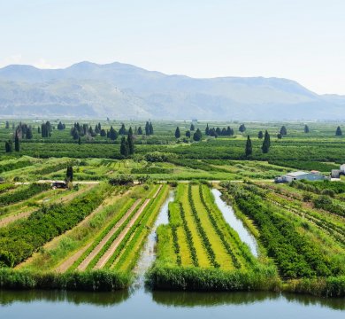 &copy; Ewald Fröch - stock.adobe.com