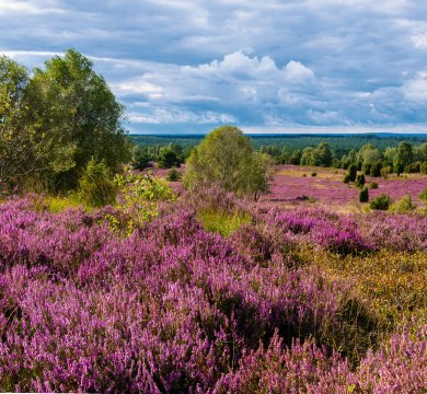 &copy; Jørgson Photography - stock.adobe.com