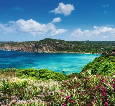 &copy; Balate Dorin - stock.adobe.com