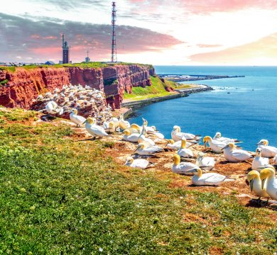 &copy; Sina Ettmer - stock.adobe.com