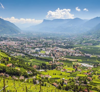 &copy; Wolfgang Zwanzger-fotolia.com